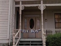 Fly Boy