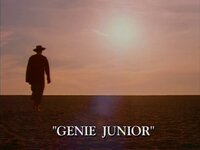 Genie Junior