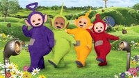 Teletubbies
