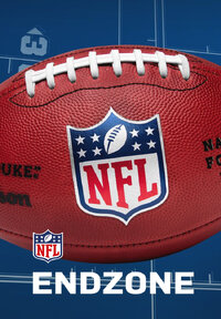 NFL End Zone