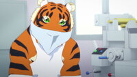 Vague Memories / It Depends on the Cat / My Specialty