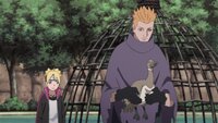 The Predestined Path