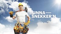 Sinnasnekker'n