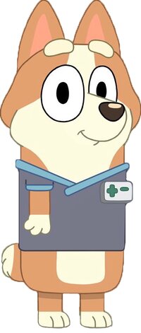 Vet Corgi