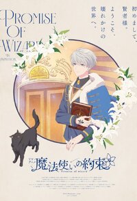 Promise of Wizard