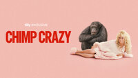 Chimp Crazy