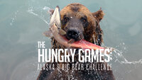 The Hungry Games: Alaska's Big Bear Challenge