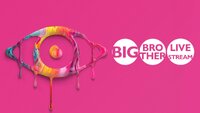 Big Brother: Live Stream