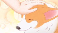 Tono To Inu