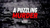 A Puzzling Murder