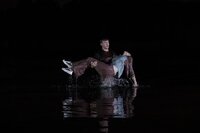 Взгляд русалки