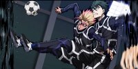 The Assassin and the Ninja
