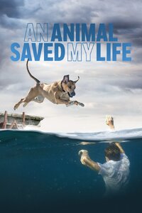 An Animal Saved My Life