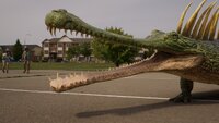 A Dino Tail