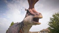 Dino Dress Up