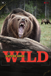 Nature Gone Wild