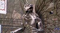 Mothman
