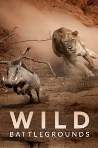 Wild Battlegrounds