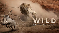 Wild Battlegrounds