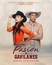 Pasión de Gavilanes