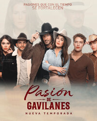 Pasión de Gavilanes