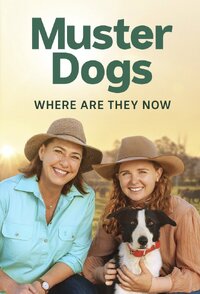 Muster Dogs: Where Are They Now?