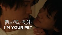 I'm Your Pet