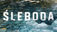 Śleboda