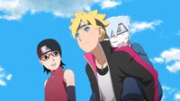 The Hashirama Cell
