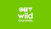 CTV Wild Channel