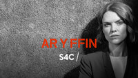 Ar y Ffin