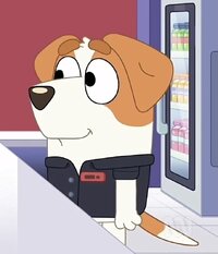 Cinema Counter Dog