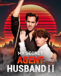 My Secret Agent Husband
