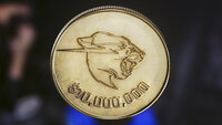 $10,000,000 Coin Flip