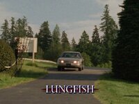 Lungfish