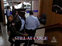 Still at Large