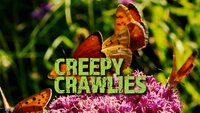 Creepy Crawlies
