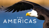 The Americas