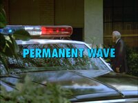 Permanent Wave - June 2, 1983