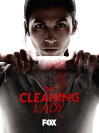 The Cleaning Lady