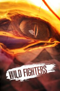 Wild Fighters