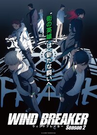 Wind Breaker