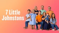 7 Little Johnstons