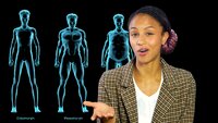 Can We Change Our Body Type?