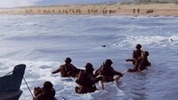 Liberation: D-Day to Berlin