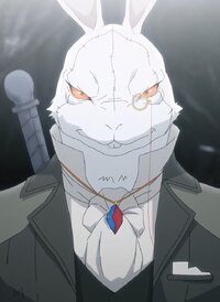 White Rabbit