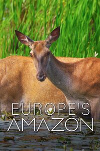 Europe's Amazon