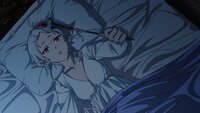 The Kidnapping and Confinement of Beast Girls