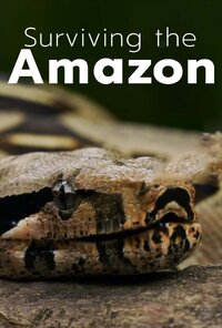 Surviving the Amazon