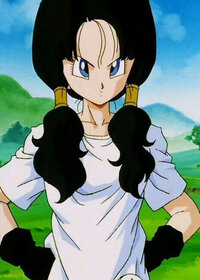 Videl